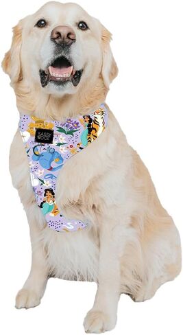 Dog Collar Disney Princess Aladdin Jasmine - S, Adjustable, Durable, Comfortable and Stylish Pet Accessories for Small Dogs - Officially Licensed in Kuwait