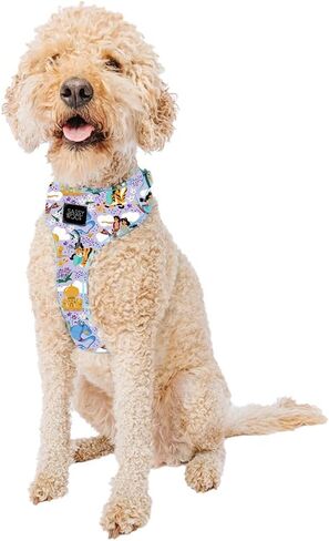 Dog Collar Disney Princess Aladdin Jasmine - S, Adjustable, Durable, Comfortable and Stylish Pet Accessories for Small Dogs - Officially Licensed in Kuwait