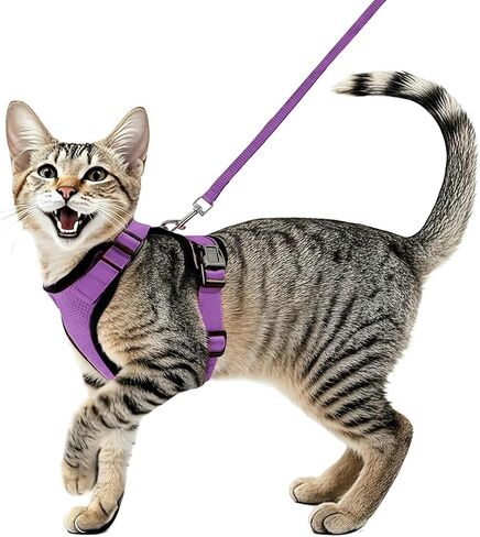 Cat Harness and Leash Set,Escape Proof Adjustable Cat Harness,Soft and Breathable Kitten Harness and Leash with Reflective Strips for Walking and Traveling(Black,S) in Saudi Arabia