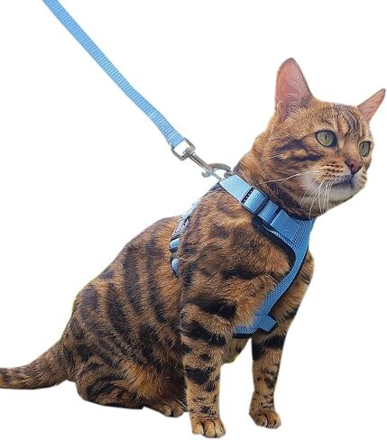 Cat Harness and Leash Set,Escape Proof Adjustable Cat Harness,Soft and Breathable Kitten Harness and Leash with Reflective Strips for Walking and Traveling(Black,S) in Saudi Arabia
