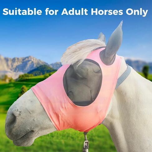 Ride Horse Fly Mask with Ear Protection, Large Eye Space with 3D Cut Design, Soft on Skin with Slivery(Gray) M for Horse-Adult in Saudi Arabia