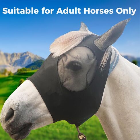 Ride Horse Fly Mask with Ear Protection, Large Eye Space with 3D Cut Design, Soft on Skin with Slivery(Gray) M for Horse-Adult in Saudi Arabia