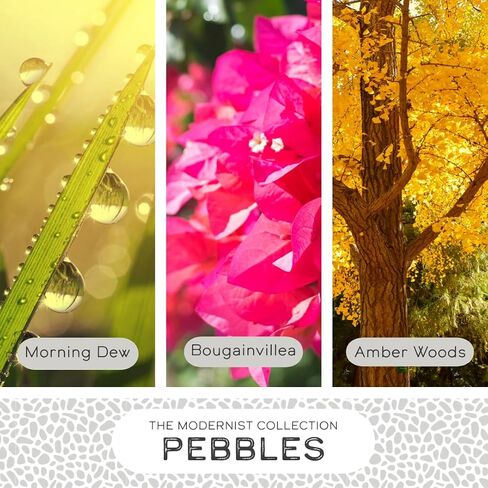 Pebbles Art-Inspired Scented Candle | 9oz Soy Coconut Wax Blend | 55-Hour Burn | Premium Morning Dew & Bougainvillea Scent | Signature Artistic Glass Vessel | Unique Gift | Made in The USA in Saudi Arabia