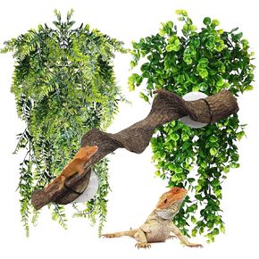 كاثسون الزواحف ، فرع الزاوية ، تسلق الخيزران والنباتات المزيفة المعلقة ، وفروع زواحف واحدة ومصنع 2 terrarium ، وديكور دبابات التنين الملتحي للبرمائيات ، والسحالي ، والقيام ، والثعابين ، وسرطان البحر ، والضفادع ، الضفادع in Kuwait