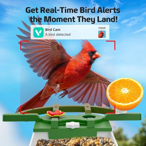 Smart Bird Feeder with Camera – 2K HD, AI Recognition & 2-Way Audio, Solar-Powered, Night Vision, IP65 Waterproof, WiFi Birdhouse for Bird Lovers (Green) in Saudi Arabia