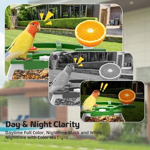 Smart Bird Feeder with Camera – 2K HD, AI Recognition & 2-Way Audio, Solar-Powered, Night Vision, IP65 Waterproof, WiFi Birdhouse for Bird Lovers (Green) in Saudi Arabia