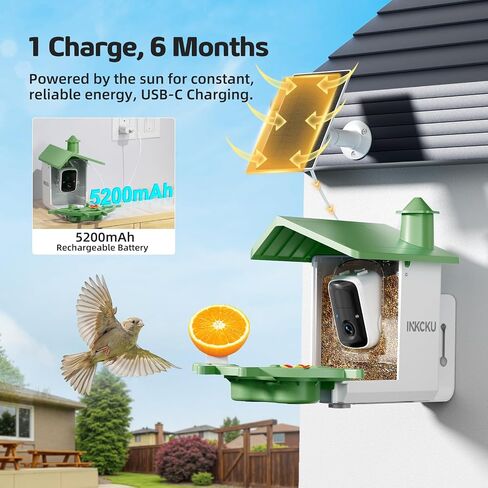 Smart Bird Feeder with Camera – 2K HD, AI Recognition & 2-Way Audio, Solar-Powered, Night Vision, IP65 Waterproof, WiFi Birdhouse for Bird Lovers (Green) in Saudi Arabia