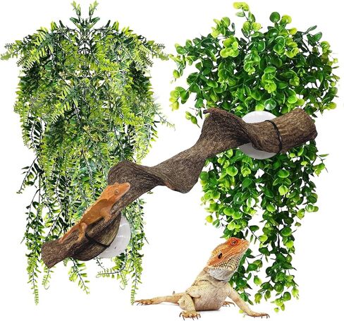 kathson Reptile Corner Branch Climbing Bamboo & Hanging Fake Plants,1 Reptile Branches & 2 Terrarium Plant, Bearded Dragons Tank Decor for Amphibians, Lizards, Geckos, Snakes, Hermit Crab, Frogs in Kuwait