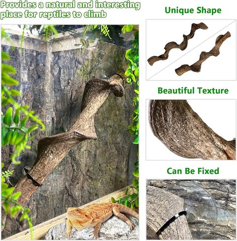 kathson Reptile Corner Branch Climbing Bamboo & Hanging Fake Plants,1 Reptile Branches & 2 Terrarium Plant, Bearded Dragons Tank Decor for Amphibians, Lizards, Geckos, Snakes, Hermit Crab, Frogs in Kuwait