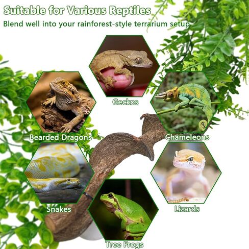 kathson Reptile Corner Branch Climbing Bamboo & Hanging Fake Plants,1 Reptile Branches & 2 Terrarium Plant, Bearded Dragons Tank Decor for Amphibians, Lizards, Geckos, Snakes, Hermit Crab, Frogs in Kuwait