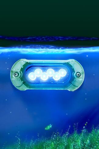 Attwood 65UW06B-7 Lightarmor Ultra-Bright 6-LED 1,350 Lumen Underwater Light, Sapphire Blue in Saudi Arabia
