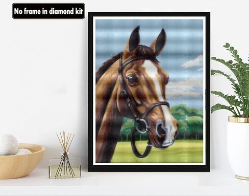 VAIIEYO 5D DIY Diamond Art Kits for Adults Horse, Diamond Painting Animal, Paint by Numbers Full Drill Round Rhinestone Craft Canvas for Home Wall Decor Gift 12x16 inch-47 in Kuwait