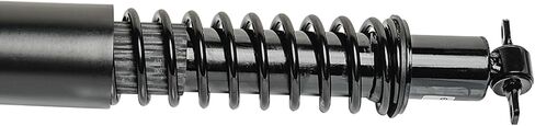 Detroit Axle - 2 Rear Struts for 2006-2011 Buick Lucerne LeSabre Park Avenue Riviera Cadillac DTS Deville Seville Complete Struts w/Coil Springs Replacement Ready Strut Shock Assembly Conversion Kit in Saudi Arabia