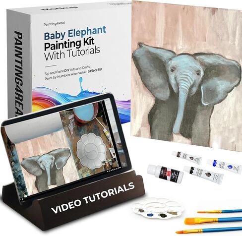 Painting4 real diy مجموعات للبالغين والأطفال مع دروس بالفيديو: تعلم كيفية رسم لحم البض in Kuwait