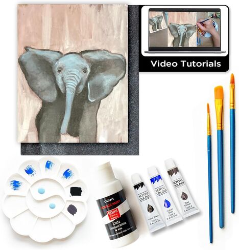 Painting4 real diy مجموعات للبالغين والأطفال مع دروس بالفيديو: تعلم كيفية رسم لحم البض in Kuwait