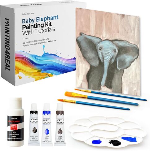 Painting4 real diy مجموعات للبالغين والأطفال مع دروس بالفيديو: تعلم كيفية رسم لحم البض in Kuwait