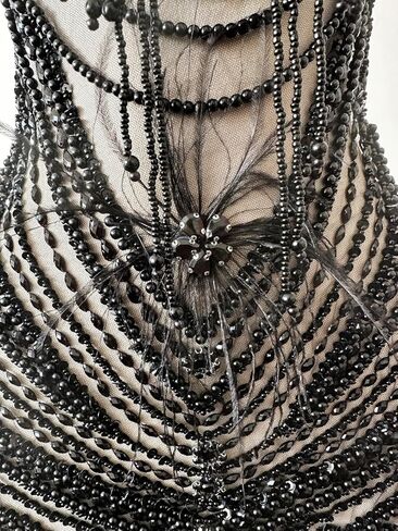 Handmade Sewing Tassel Beads Patches Rhinestones Bodice Applique with Ostrich Feather Decoration Shining Dress Clothing Accessories 17X27.5inches (Champagne) in Kuwait