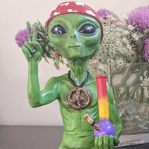 John Bernard & Company 'Stoner and Hippie' Alien Tatues زوجين 10 "H التماثيل الغريبة الجرف المقعدين في داخلي/خارجي فناء منزل مضحك أو حديقة - مجموعة من 2 in Kuwait