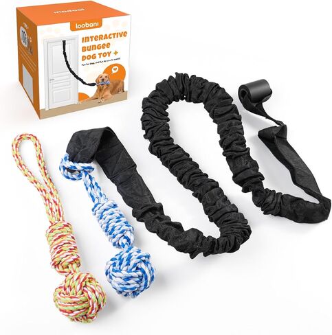 LOOBANI Ground Stakes Outdoor Dog Toys, 2 Pack Chew Toys Smash into Ground Bungee Tug Toy, for Small Medium Large Dogs Interactive Dog Toy Tree Chew Training in Kuwait