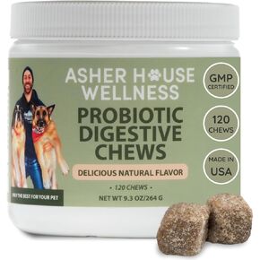 Asher House Wellness Skin & Coat Chews - Dog Itching Skin Relief with Omega 3, 6, 9, Fish Oil, Biotin - Dogs Itchy Paw Licking Chewable Treats, Puppy Dry Itch Supplement - 120 Soft Chews in Kuwait