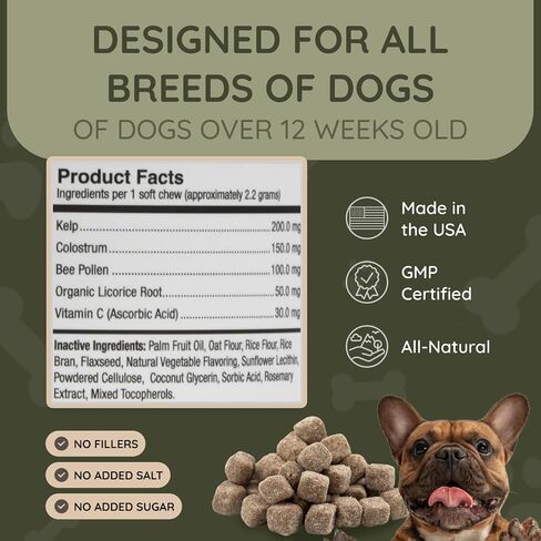 Asher House Wellness Skin & Coat Chews - Dog Itching Skin Relief with Omega 3, 6, 9, Fish Oil, Biotin - Dogs Itchy Paw Licking Chewable Treats, Puppy Dry Itch Supplement - 120 Soft Chews in Saudi Arabia