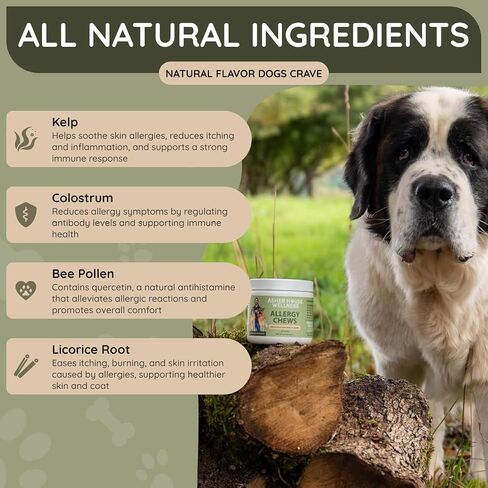 Asher House Wellness Skin & Coat Chews - Dog Itching Skin Relief with Omega 3, 6, 9, Fish Oil, Biotin - Dogs Itchy Paw Licking Chewable Treats, Puppy Dry Itch Supplement - 120 Soft Chews in Saudi Arabia