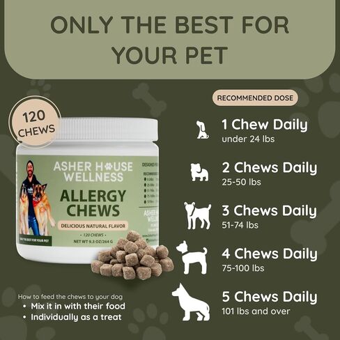 Asher House Wellness Skin & Coat Chews - Dog Itching Skin Relief with Omega 3, 6, 9, Fish Oil, Biotin - Dogs Itchy Paw Licking Chewable Treats, Puppy Dry Itch Supplement - 120 Soft Chews in Saudi Arabia