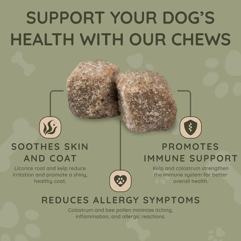 Asher House Wellness Skin & Coat Chews - Dog Itching Skin Relief with Omega 3, 6, 9, Fish Oil, Biotin - Dogs Itchy Paw Licking Chewable Treats, Puppy Dry Itch Supplement - 120 Soft Chews in Saudi Arabia