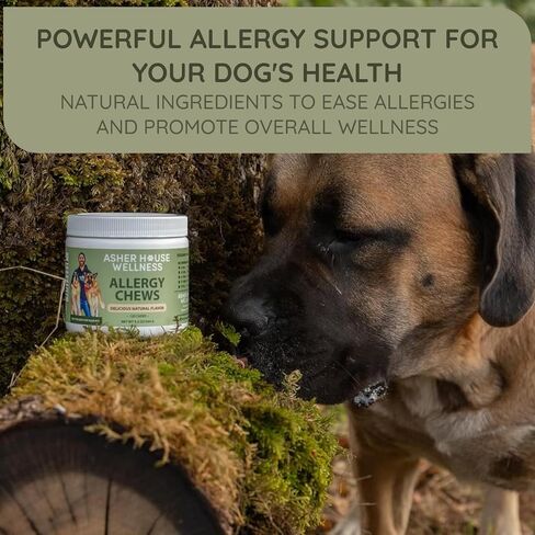 Asher House Wellness Skin & Coat Chews - Dog Itching Skin Relief with Omega 3, 6, 9, Fish Oil, Biotin - Dogs Itchy Paw Licking Chewable Treats, Puppy Dry Itch Supplement - 120 Soft Chews in Saudi Arabia