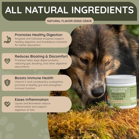 Asher House Wellness Skin & Coat Chews - Dog Itching Skin Relief with Omega 3, 6, 9, Fish Oil, Biotin - Dogs Itchy Paw Licking Chewable Treats, Puppy Dry Itch Supplement - 120 Soft Chews in Kuwait