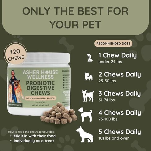 Asher House Wellness Skin & Coat Chews - Dog Itching Skin Relief with Omega 3, 6, 9, Fish Oil, Biotin - Dogs Itchy Paw Licking Chewable Treats, Puppy Dry Itch Supplement - 120 Soft Chews in Kuwait
