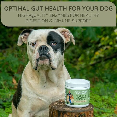 Asher House Wellness Skin & Coat Chews - Dog Itching Skin Relief with Omega 3, 6, 9, Fish Oil, Biotin - Dogs Itchy Paw Licking Chewable Treats, Puppy Dry Itch Supplement - 120 Soft Chews in Kuwait