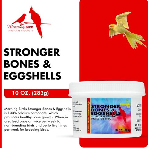 Morning Bird Stronger Bones & Eggshells, Calcium Carbonate for Breeding and Non-Breeding Birds, Promotes Healthy Bone Growth, 10 oz in Saudi Arabia