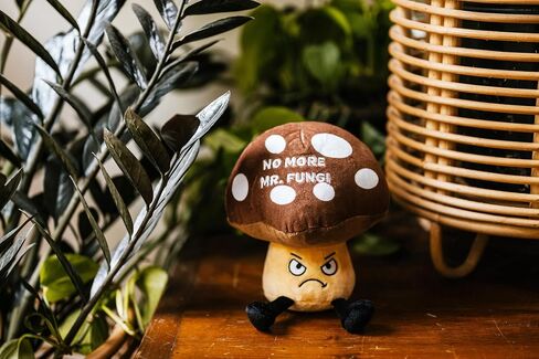 Succulent Plushie - Work Would SUCC Without You Sassy Succulent Plush, Gift for Coworkers, Cute Plush Toy for Gifting in Saudi Arabia