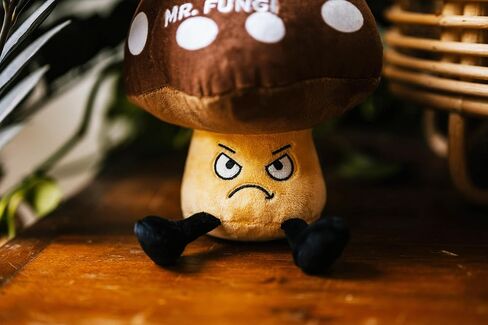 Succulent Plushie - Work Would SUCC Without You Sassy Succulent Plush, Gift for Coworkers, Cute Plush Toy for Gifting in Saudi Arabia