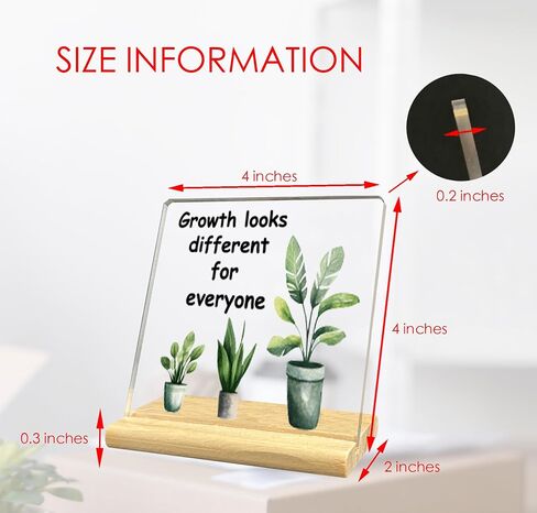 Human Sunshine Acrylic Desk Decorative Sign, Inspirational Sunshine Acrylic Desk Decor Gifts for Women Men, Motivational Decor for Office Home in Saudi Arabia
