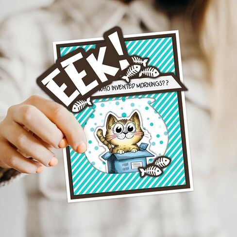 INFUNLY 2pcs Spring Flowers Stamp and Dies for Card Making Inspirational Word Clear Stamp Garden Die Cuts Potted Plant Rubber Stamps Spray Bottle Cutting Die for Scrapbooking Embossing Album DIY Craft in Kuwait