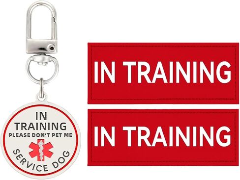 Service Dog in Training Patch 2 Pcs, Servcie Dog ID Tag Removable to Collar, Harness (Small-1.18 x 4.33 inch) in Saudi Arabia