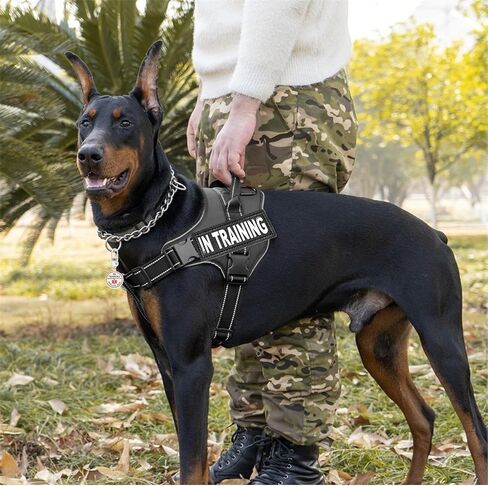 Service Dog in Training Patch 2 Pcs, Servcie Dog ID Tag Removable to Collar, Harness (Small-1.18 x 4.33 inch) in Saudi Arabia