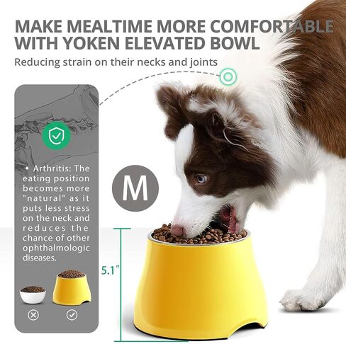 Raised Dog Bowls, Elevated Dog Bowls for Wearing Cone,Cocker Spaniel Long Ears,Neck Stress-Free,Non-Slip Stianless Steel Bowl for Medium/Small Size Dogs in Saudi Arabia