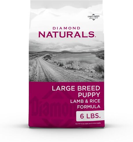 Diamond Naturals كبير تولد وجبة غذاء الكلاب الجافة الكلاب الجافة وصيغة الأرز مع البروتين من الخروف الحقيقي والبروبيوتيك والمواد الغذائية الأساسية لدعم الصحة المتوازنة والكال في الكلاب البالغة 40 رطل in Kuwait