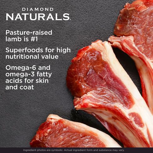 Diamond Naturals كبير تولد وجبة غذاء الكلاب الجافة الكلاب الجافة وصيغة الأرز مع البروتين من الخروف الحقيقي والبروبيوتيك والمواد الغذائية الأساسية لدعم الصحة المتوازنة والكال في الكلاب البالغة 40 رطل in Kuwait