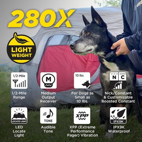 Dogtra 282C Waterproof 127-Level Precise Control LCD Screen 1/2-Mile 2-Dog Remote Training Dog E-Collar in Saudi Arabia