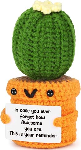Agantree art Crochet Cactus Inspirational Gifts for Women Men Handmade Emotional Encouragement Support Birthday Graduation Gift, Rooting for You Presents for Her, Him, Daughter, Son, Sister, Friend in Kuwait