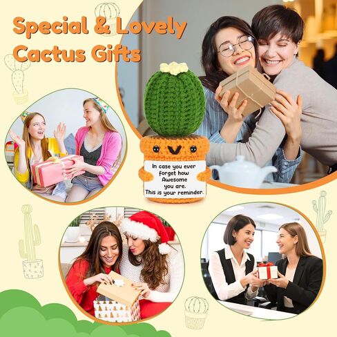 Agantree art Crochet Cactus Inspirational Gifts for Women Men Handmade Emotional Encouragement Support Birthday Graduation Gift, Rooting for You Presents for Her, Him, Daughter, Son, Sister, Friend in Kuwait