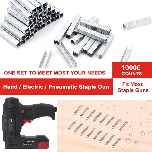 Werktough Staples 8mmx1000x2+10mmx1000x2+12mmx1000x2+14mmx1000x2+14mmx1000Tx2 x1 in Saudi Arabia