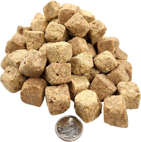 أكواك الأطعمة المائية شركة مكعبات الروبيان المائية تجميد تجميد تجميد عائم لجميع الأسماك الاستوائية ، والأسماك البحرية ، والقرص ، و cichlids ، و koi & pond fish ، والسلاحف ... 1 أوقية صغيرة الجرة in Kuwait