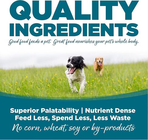NutriSource, Adult Chicken & Rice Recipe with Wholesome Grains Dry Dog Food, 64 Ounce in Saudi Arabia