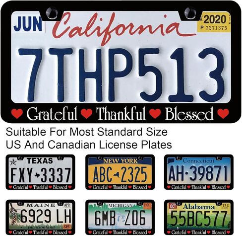 License Plate Frames Let Go and Let God Metal License Plate Frame with Screws Cute License Plate Cover Holder 6.3 X 12.3 inch for Car Decoration for Women Men LICEPLAME in Saudi Arabia