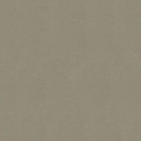 إمدادات الطلاء R&E متوافقة مع Honda YR550M ، Pain Opal Beige Automotive Paint ، Gallon in Saudi Arabia